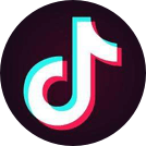 www.vidmate.com